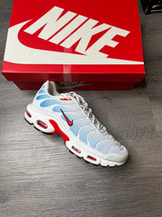Nike Air Max Plus TN TIDE