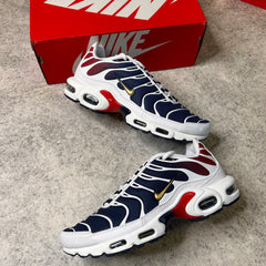 Nike Air Max Plus TN PSG
