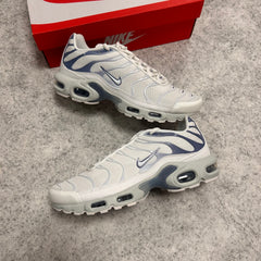 Nike Air Max Plus TN ASHEN SLATE