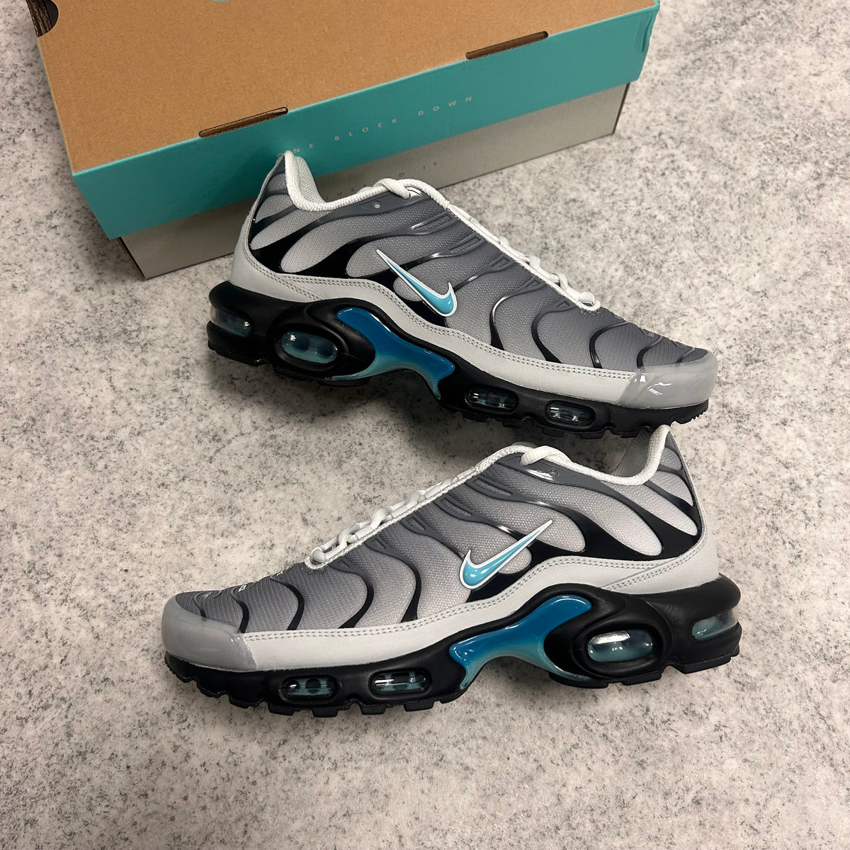 Nike Air Max Plus TN X One Block Down CLEAR FOG