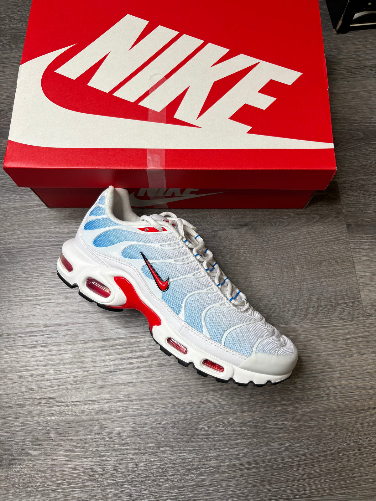 Nike Air Max Plus TN TIDE
